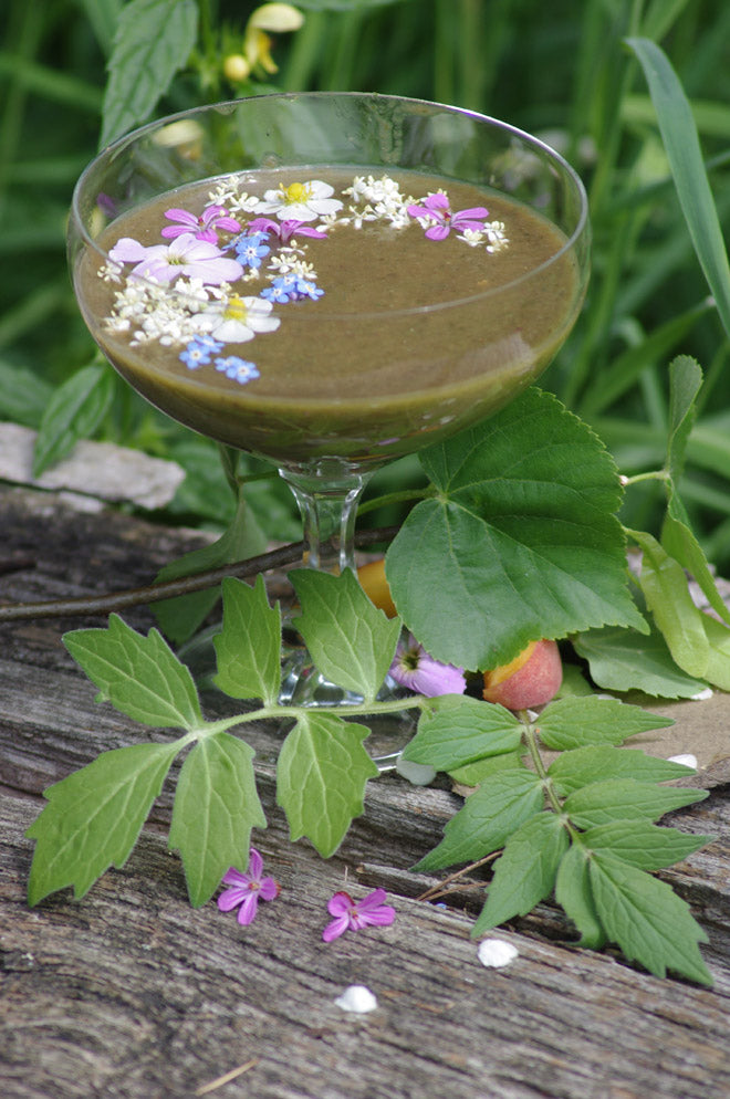 Heilpflanzensmoothies_2_660px