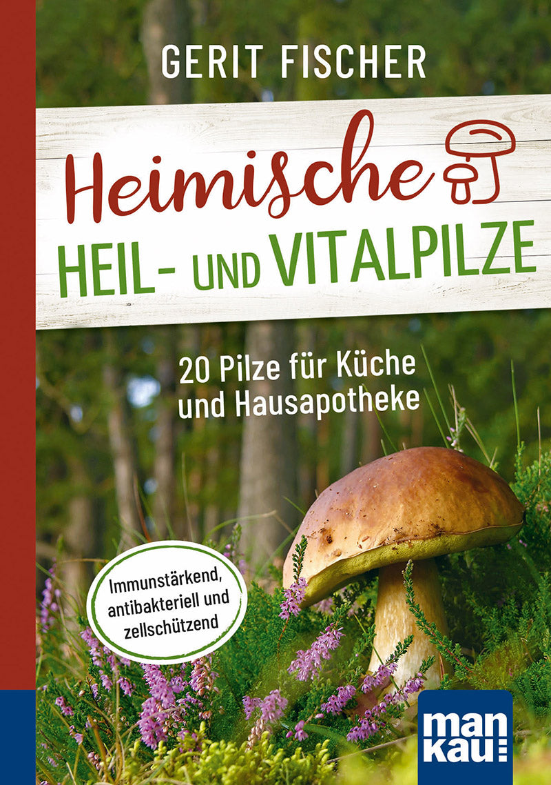 HeimischeHeilundVitalpilze_800px