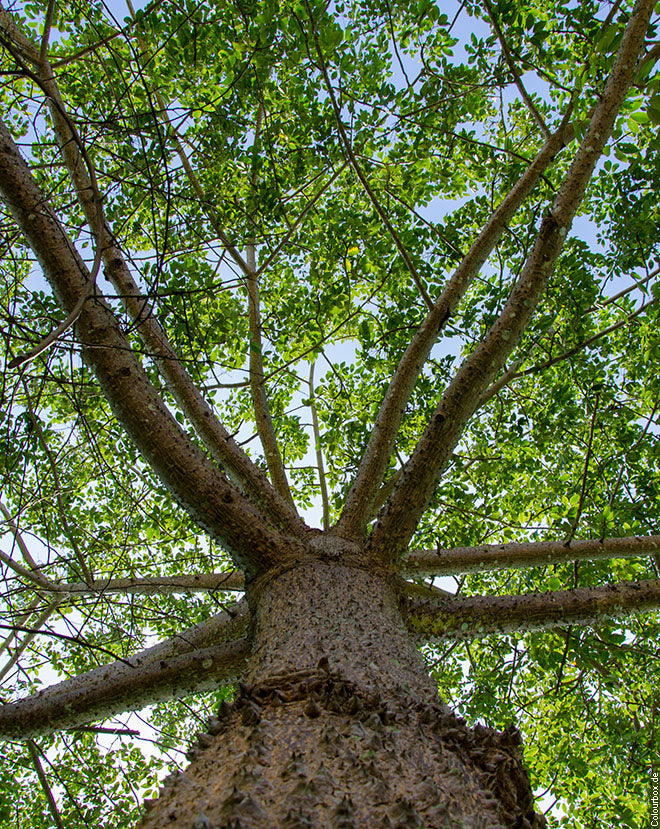 HerzResonanzCoaching_1_660px5784f32acf5d9