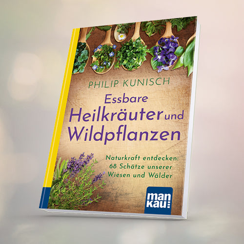 Ernährung im Einklang mit der Natur: die erstaunliche Heilkraft unserer heimischen Wildkräuter