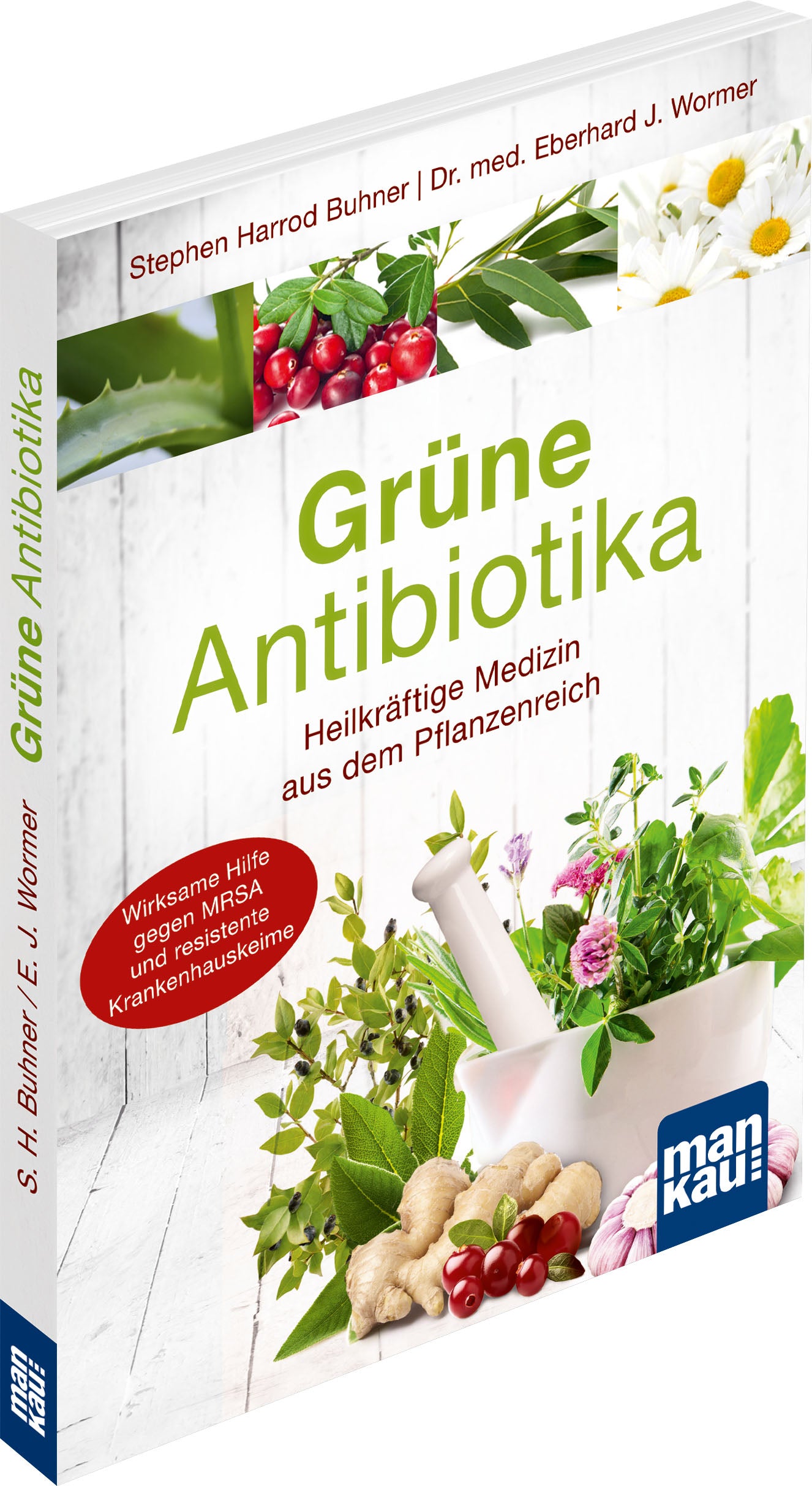 Gr-neAntibiotika_3d