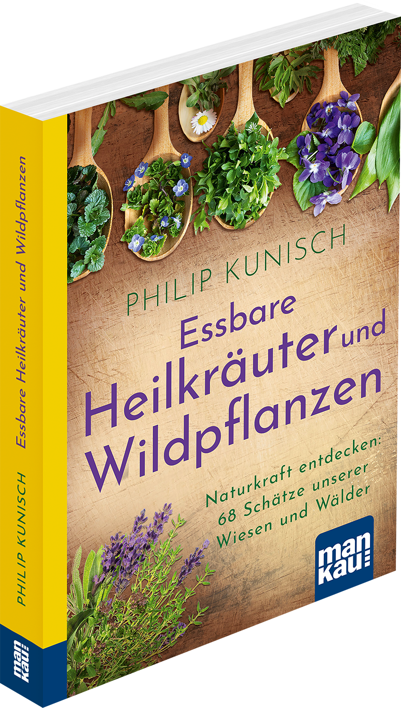 Essbare Heilkräuter und Wildpflanzen