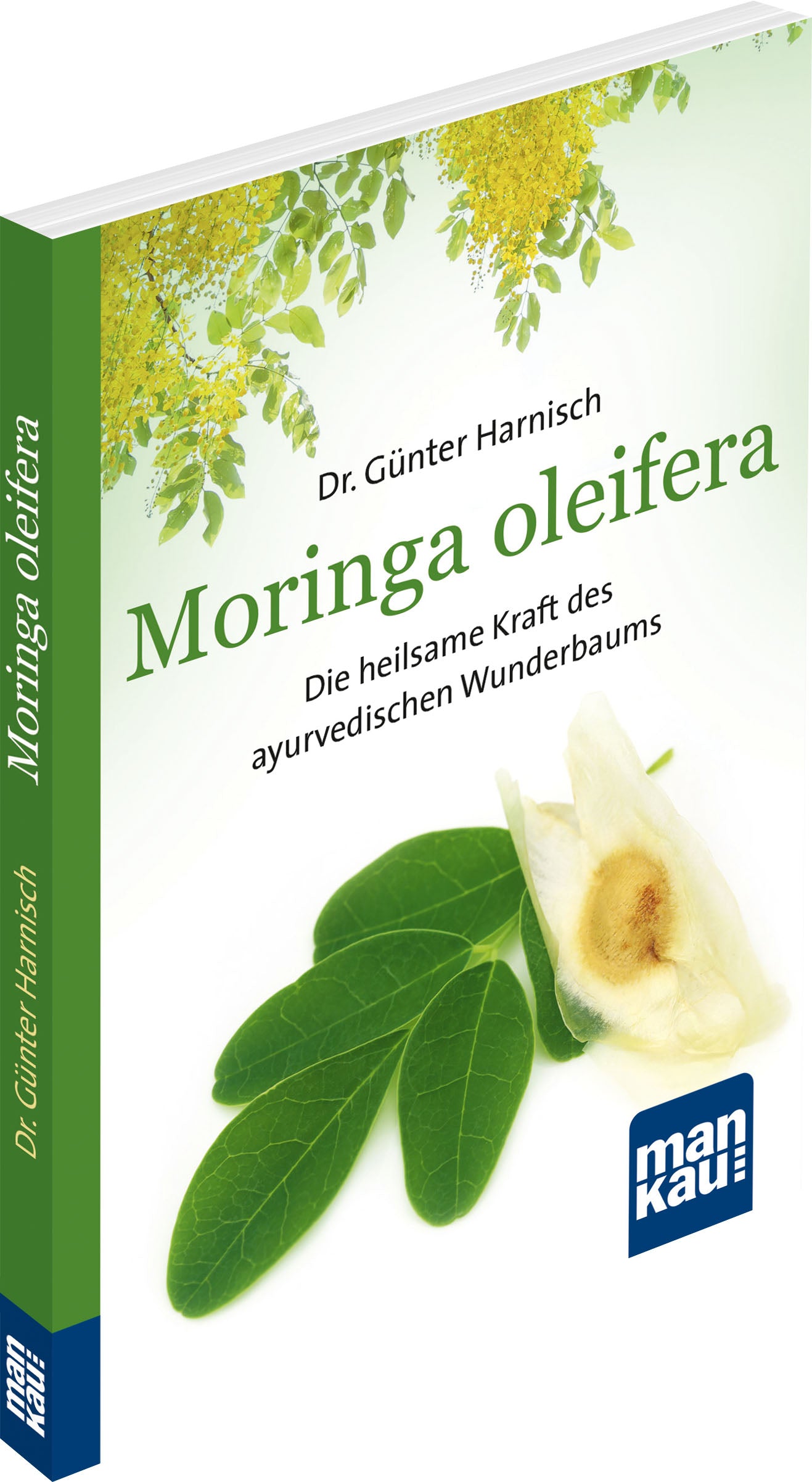 Moringaoleifera_3d